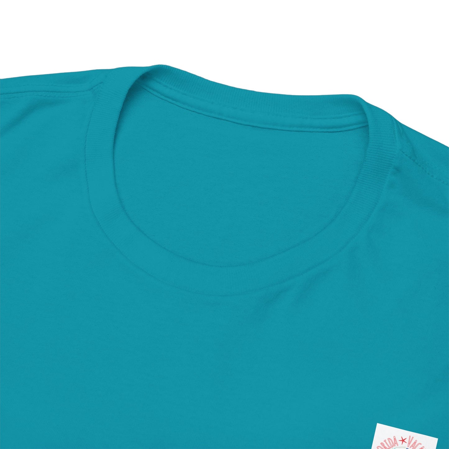 Florida Vacation Naples -Amazing Unisex Heavy Cotton Short Sleeve Tee Shirts!