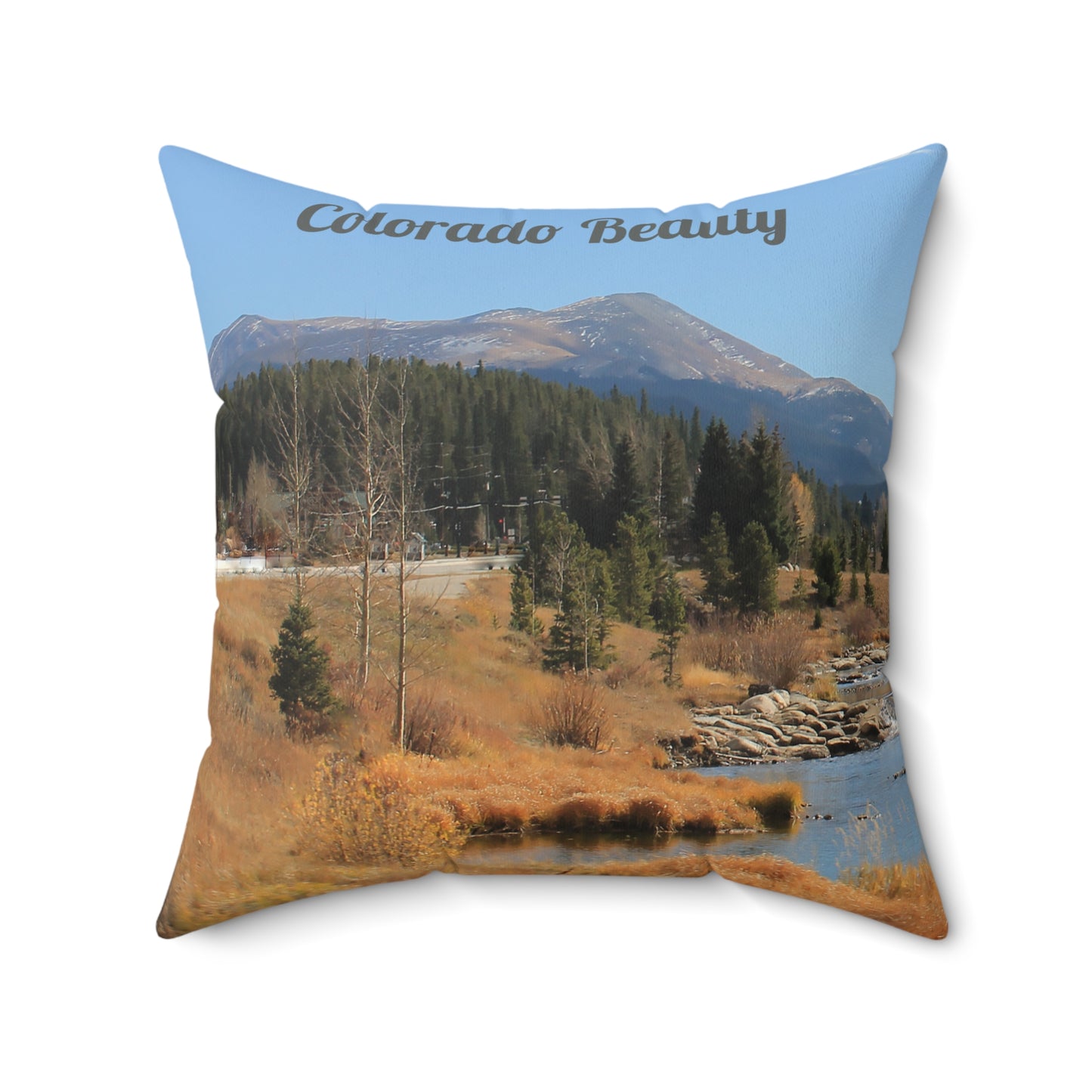Colorado Beauty Faux Suede Square Pillow
