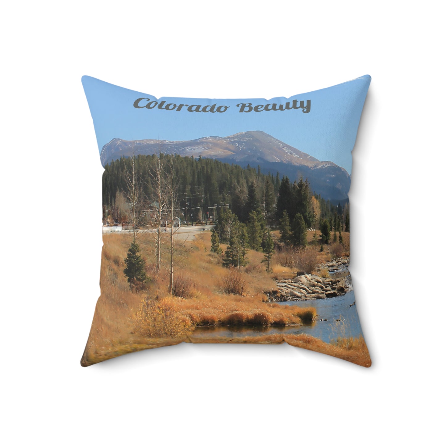Colorado Beauty Faux Suede Square Pillow