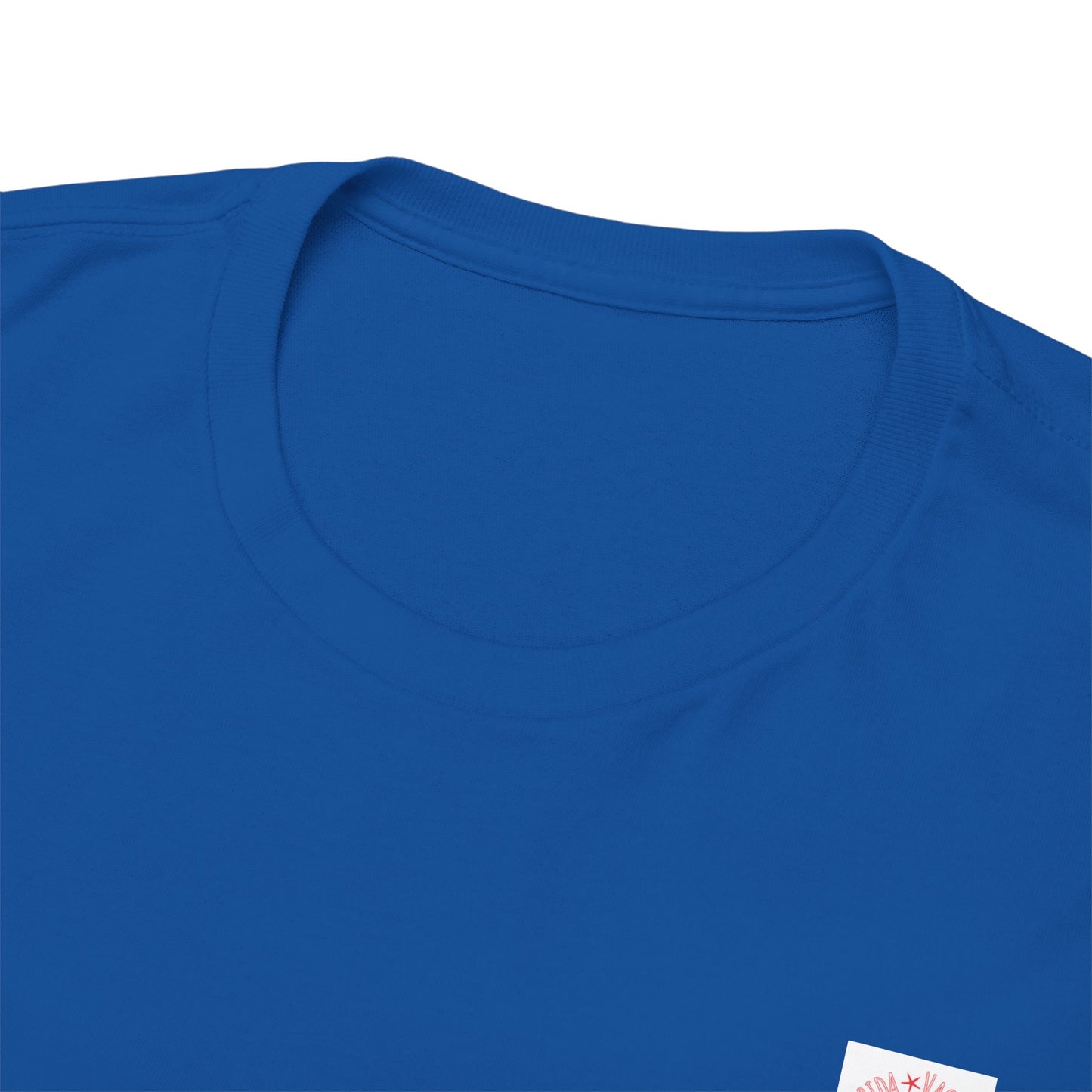 Florida Vacation Panama -Amazing Unisex Heavy Cotton Short Sleeve Tee Shirts!