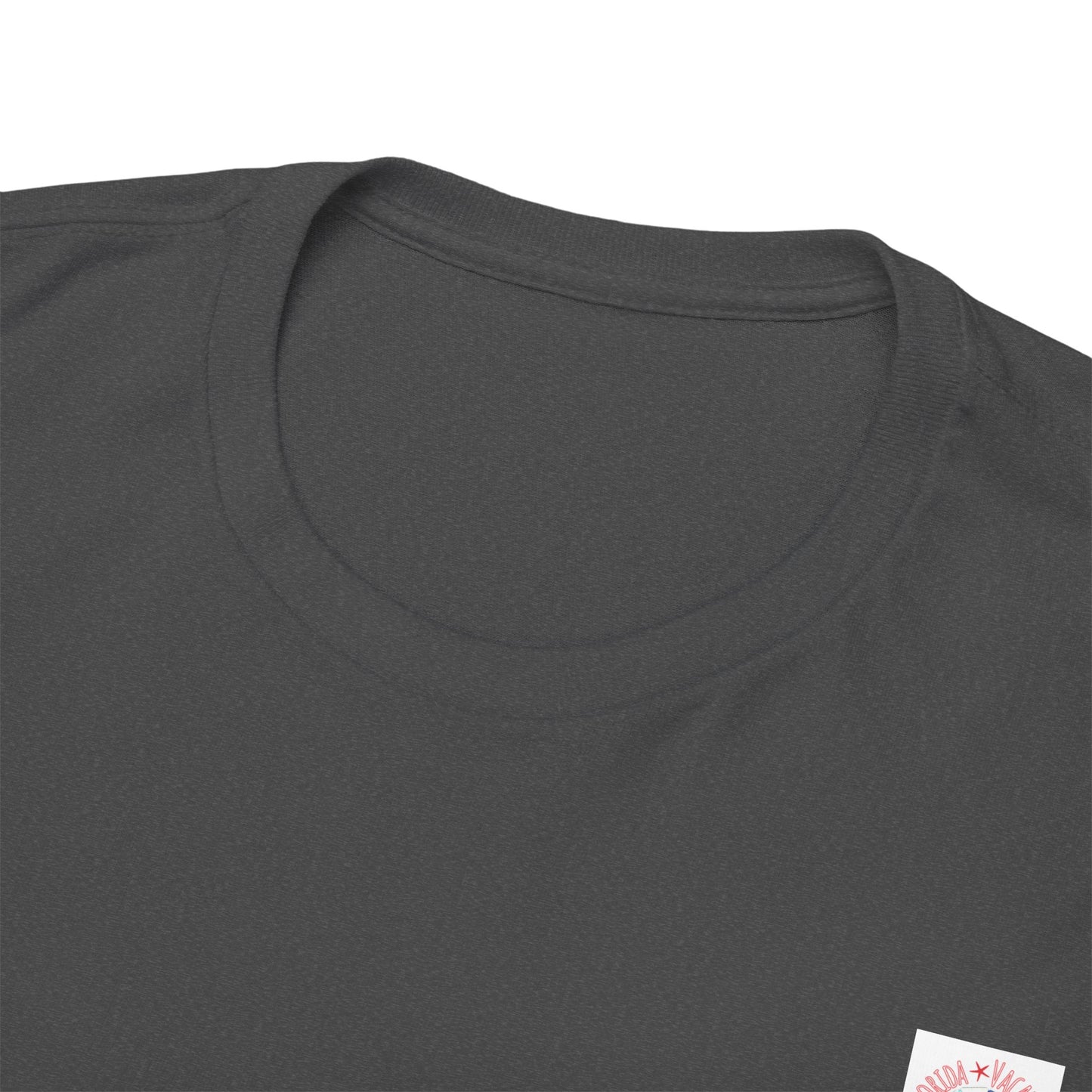 Florida Vacation Naples -Amazing Unisex Heavy Cotton Short Sleeve Tee Shirts!