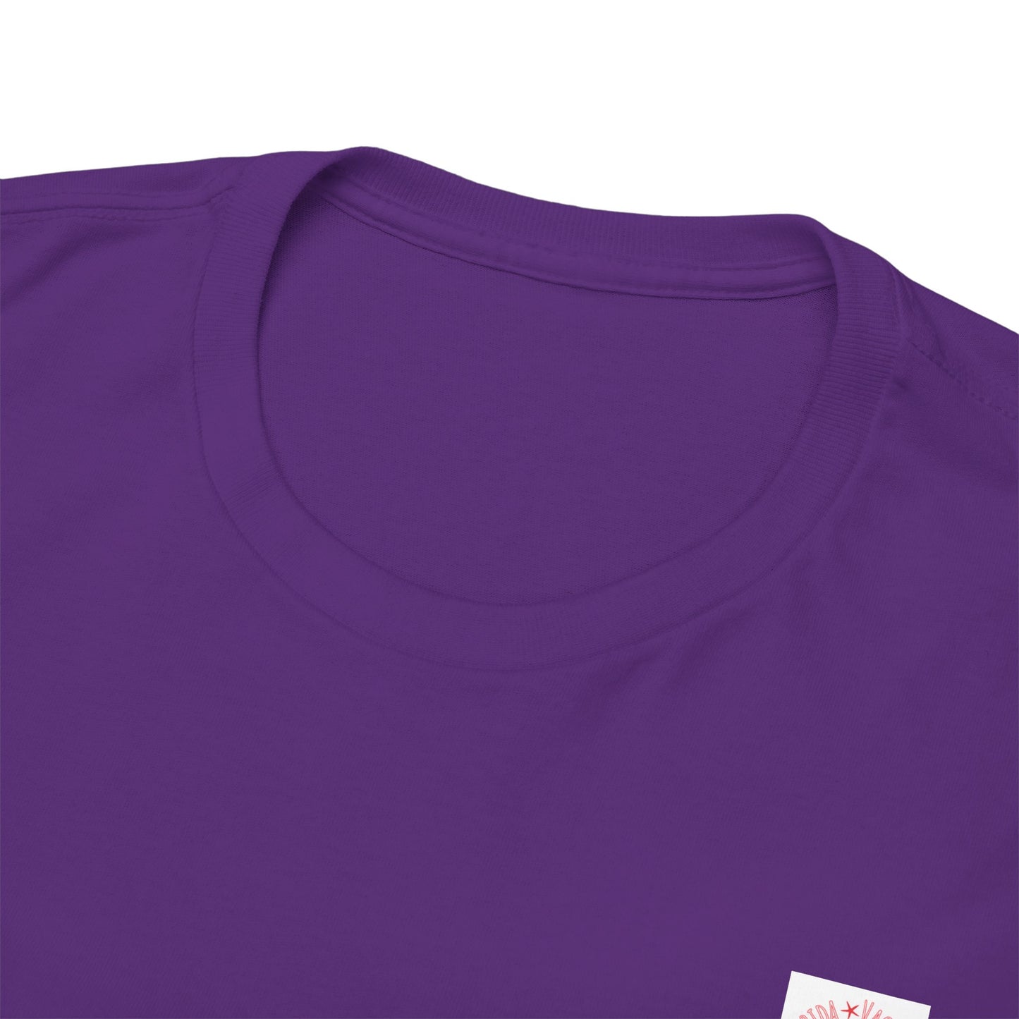 Florida Vacation Panama -Amazing Unisex Heavy Cotton Short Sleeve Tee Shirts!