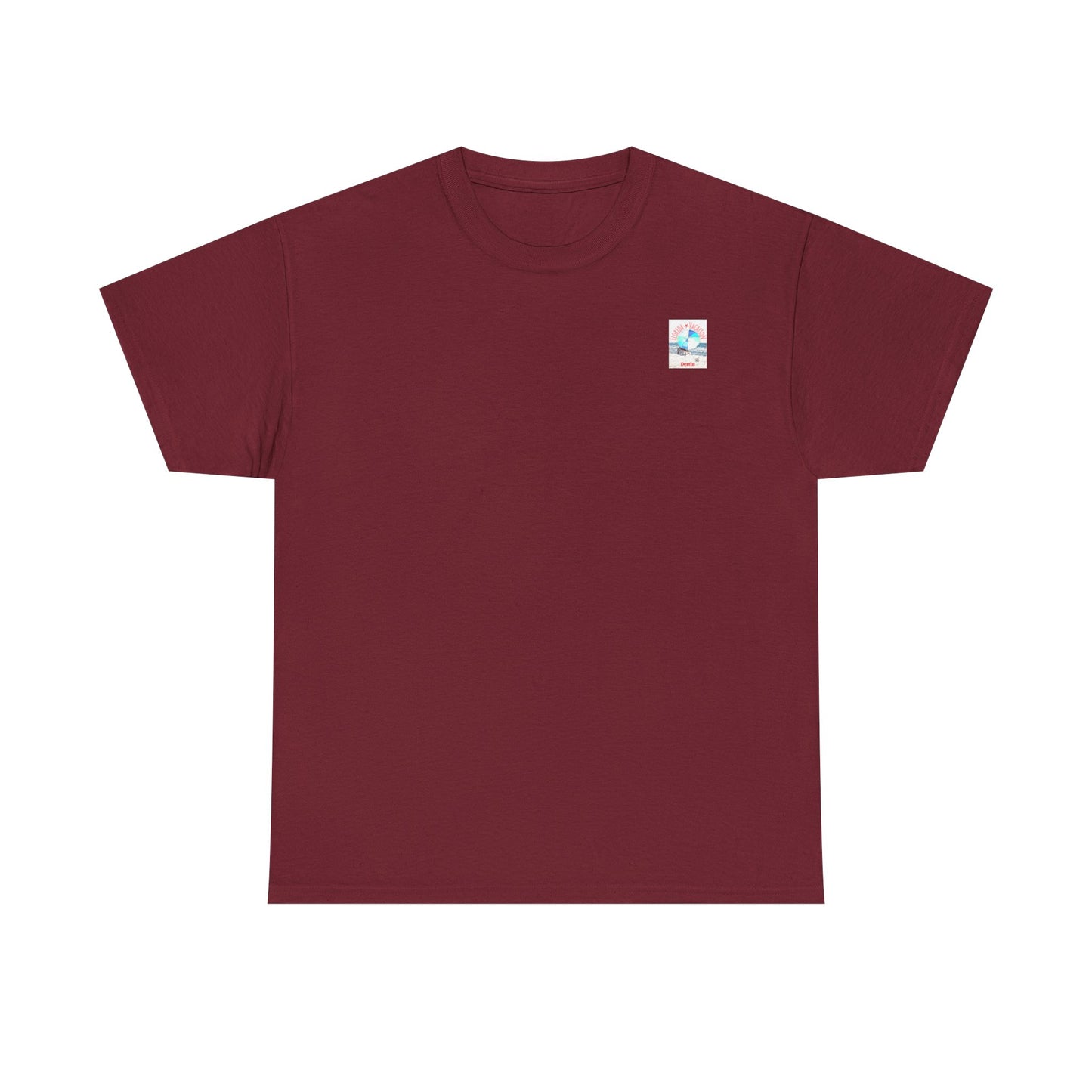 Florida Vacation Destin - Amazing Unisex Heavy Cotton Short Sleeve Tee Shirts!