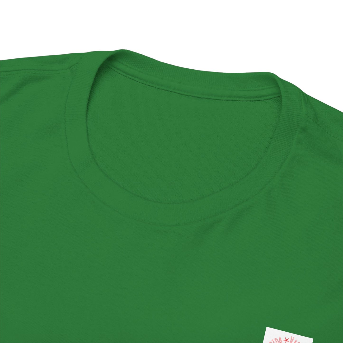 Florida Vacation Panama -Amazing Unisex Heavy Cotton Short Sleeve Tee Shirts!