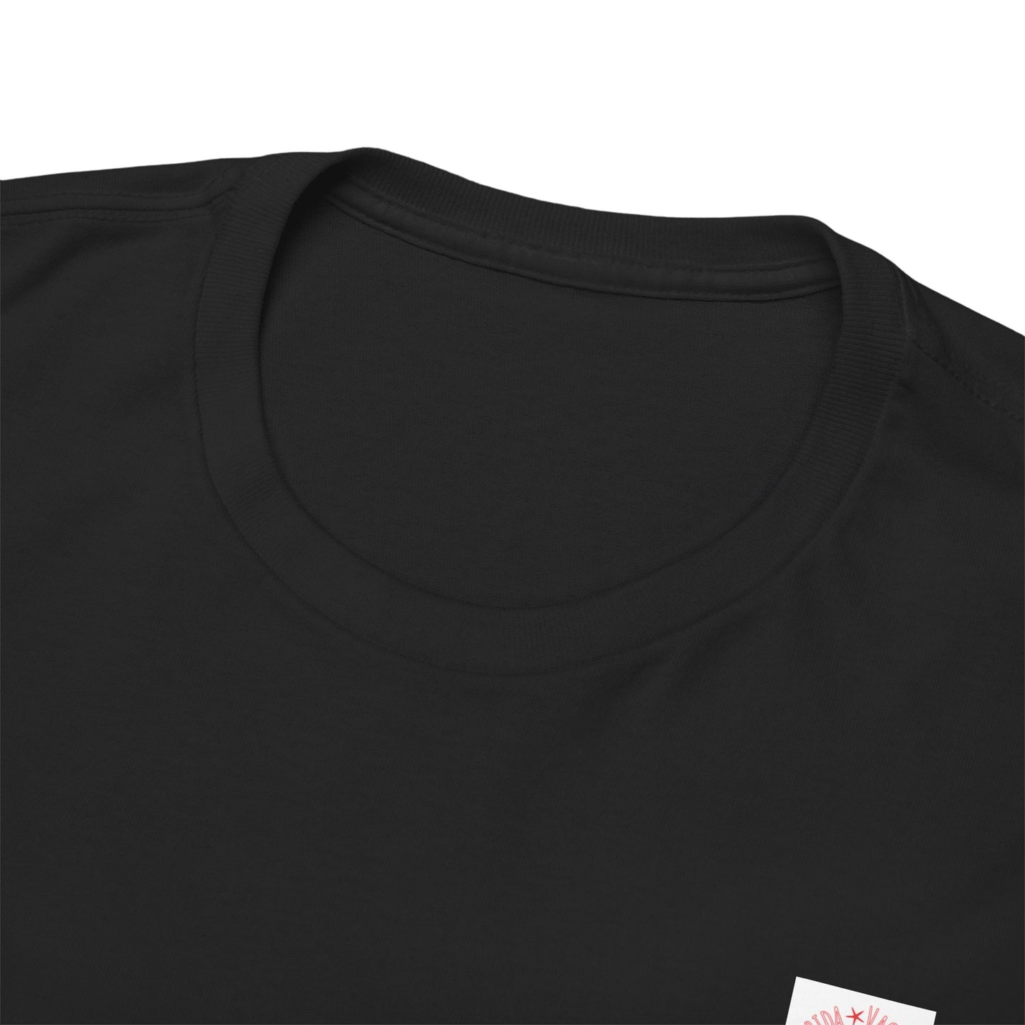 Florida Vacation Panama -Amazing Unisex Heavy Cotton Short Sleeve Tee Shirts!