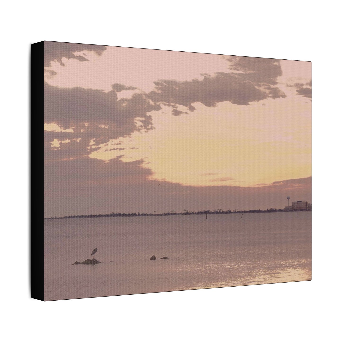 Bird's Eye View- Art- Gallery Wrapped- Satin Stretched Canvas Gallery Wraps - No Frame Needed