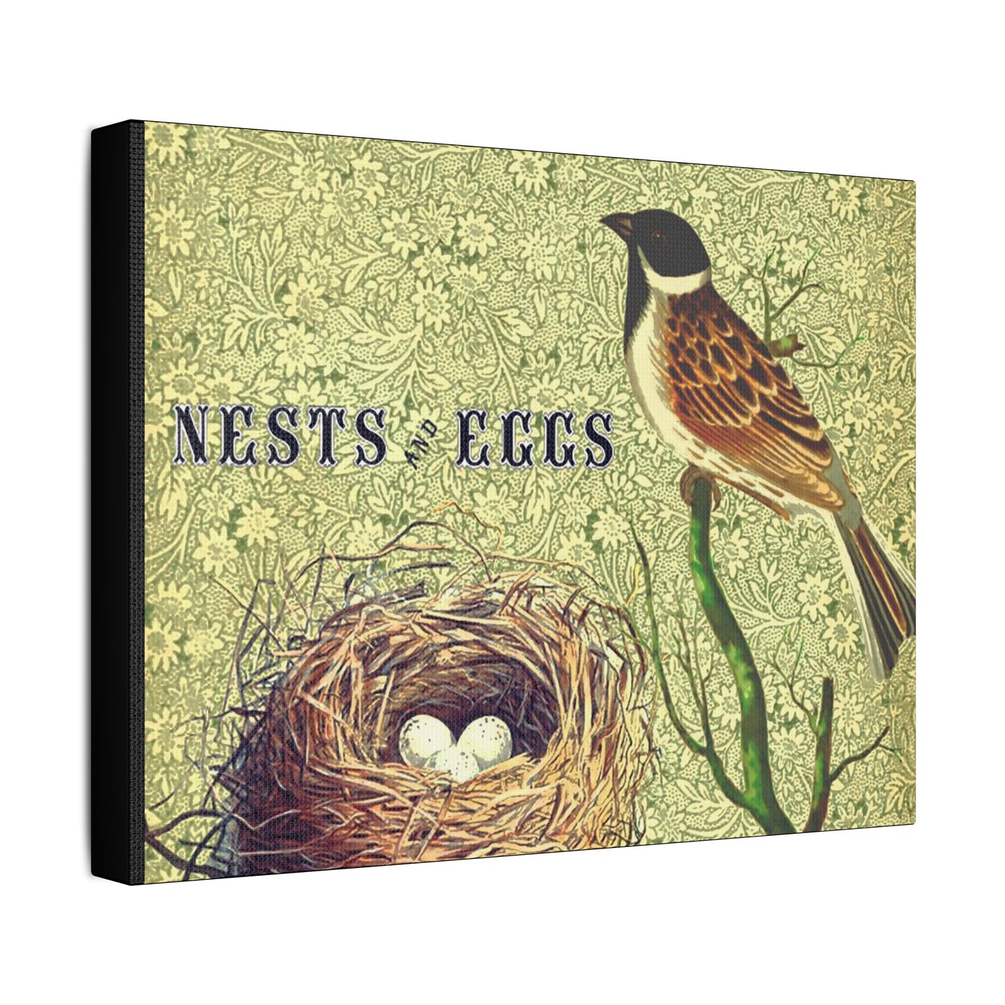 Nest and Bird Art- Gallery Wrapped- Satin Stretched Canvas Gallery Wraps - No Frame Needed