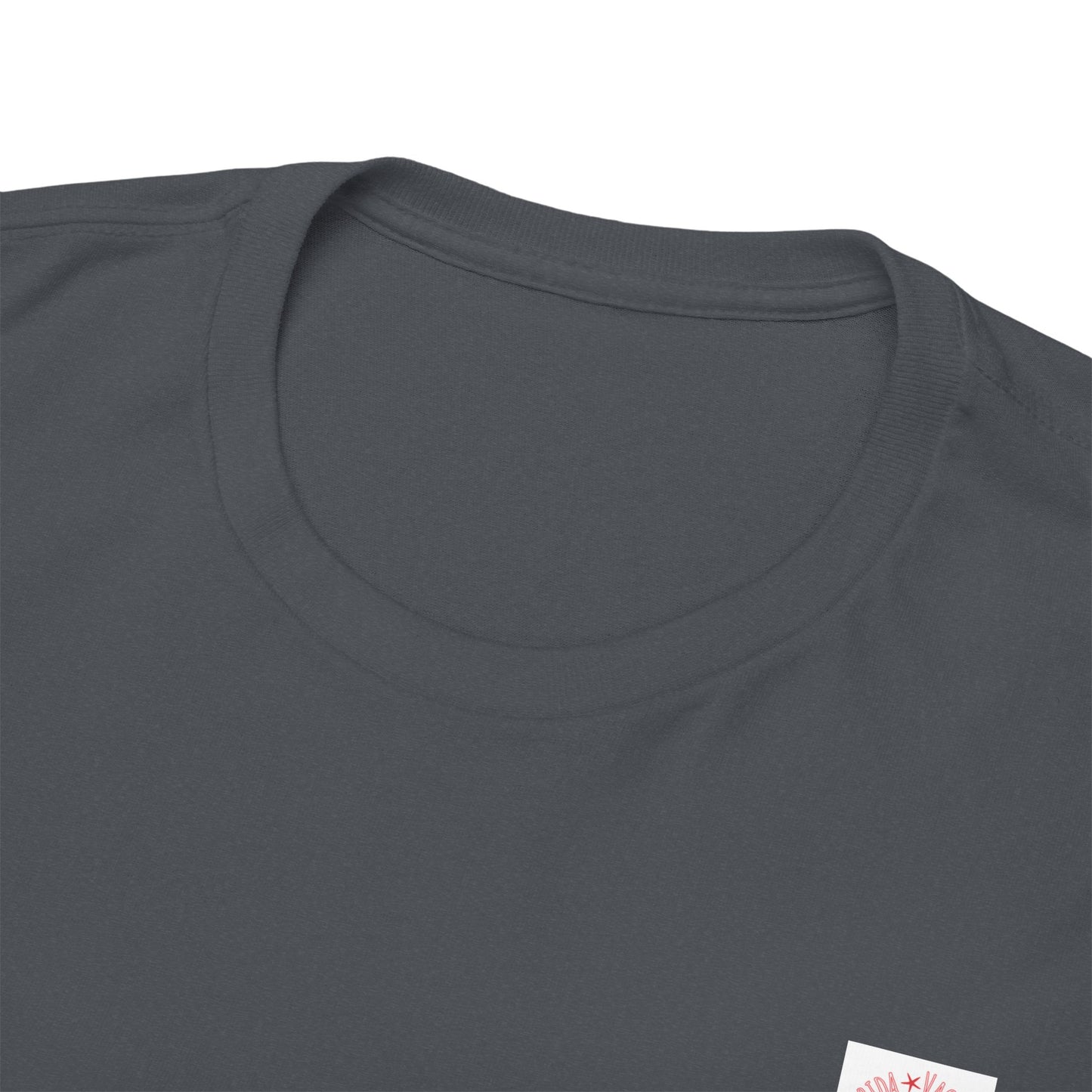 Florida Vacation Panama -Amazing Unisex Heavy Cotton Short Sleeve Tee Shirts!