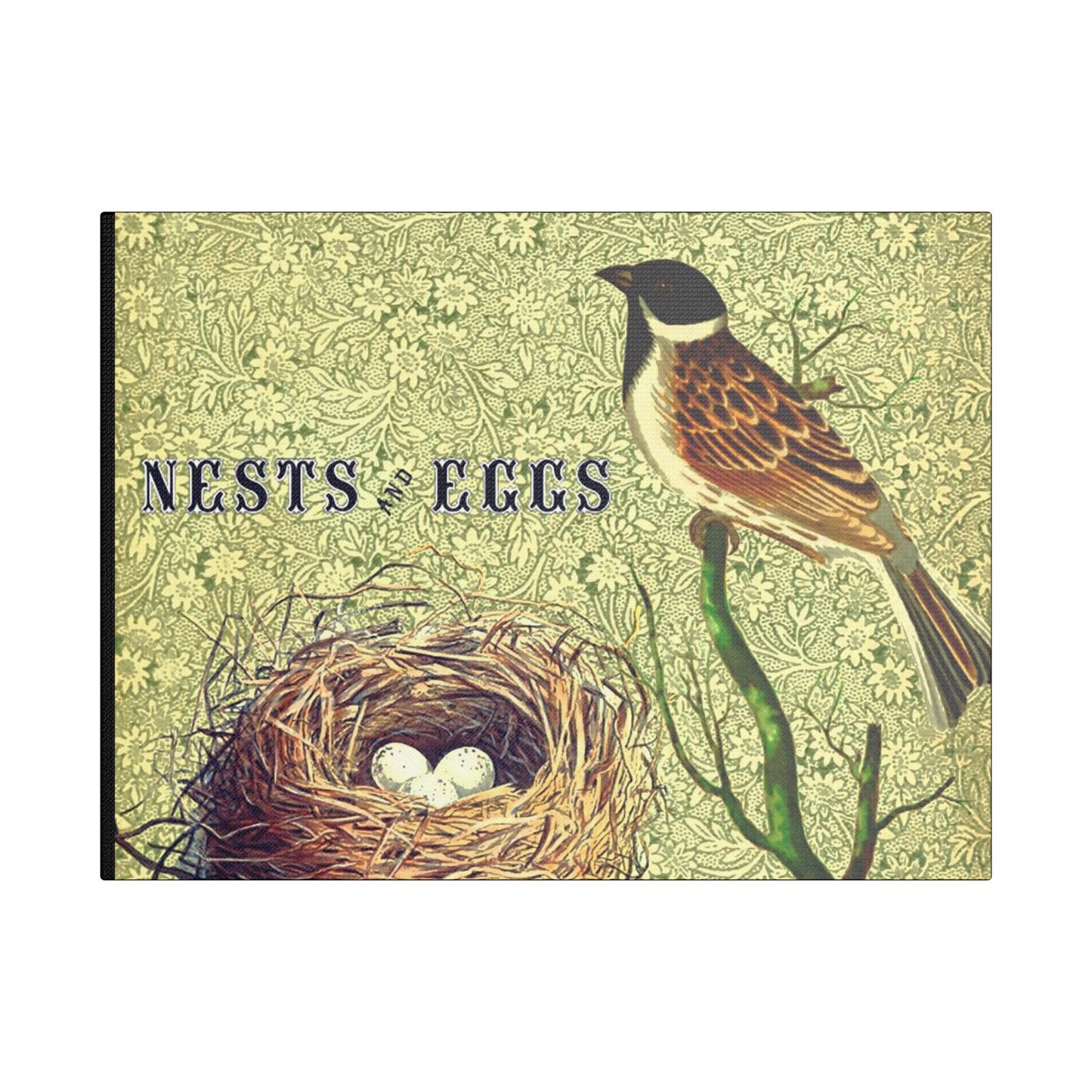 Nest and Bird Art- Gallery Wrapped- Satin Stretched Canvas Gallery Wraps - No Frame Needed