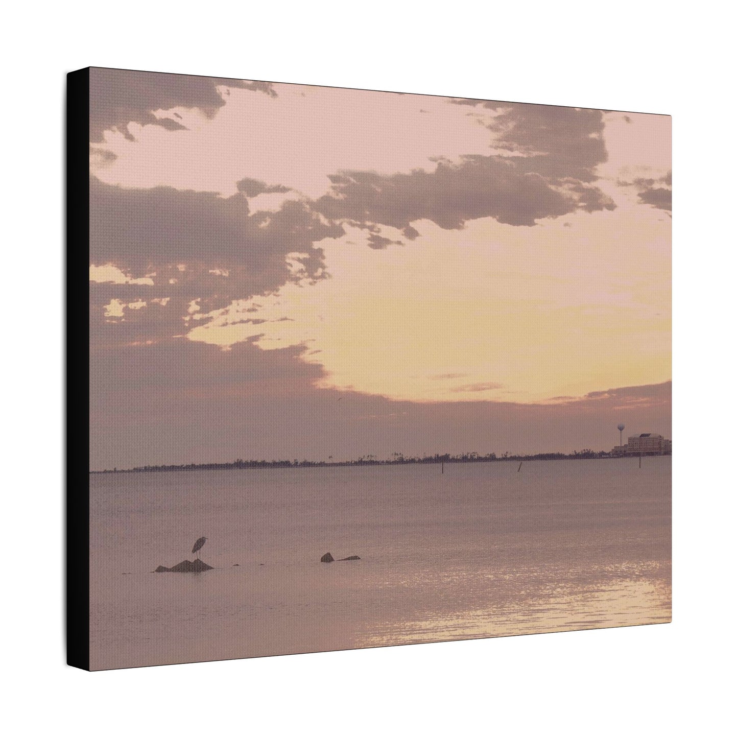 Bird's Eye View- Art- Gallery Wrapped- Satin Stretched Canvas Gallery Wraps - No Frame Needed