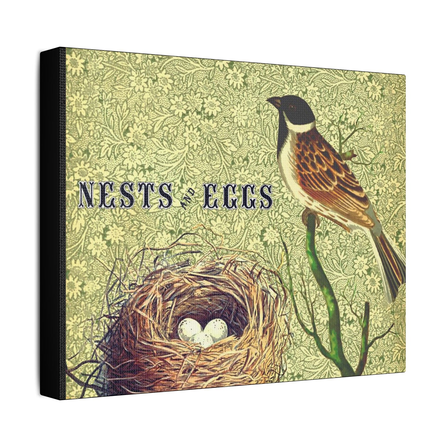 Nest and Bird Art- Gallery Wrapped- Satin Stretched Canvas Gallery Wraps - No Frame Needed