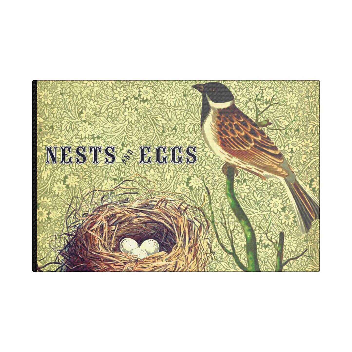 Nest and Bird Art- Gallery Wrapped- Satin Stretched Canvas Gallery Wraps - No Frame Needed