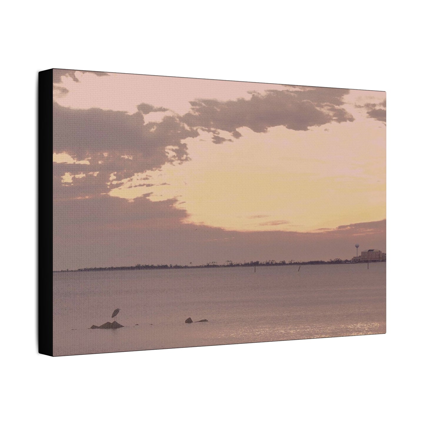 Bird's Eye View- Art- Gallery Wrapped- Satin Stretched Canvas Gallery Wraps - No Frame Needed