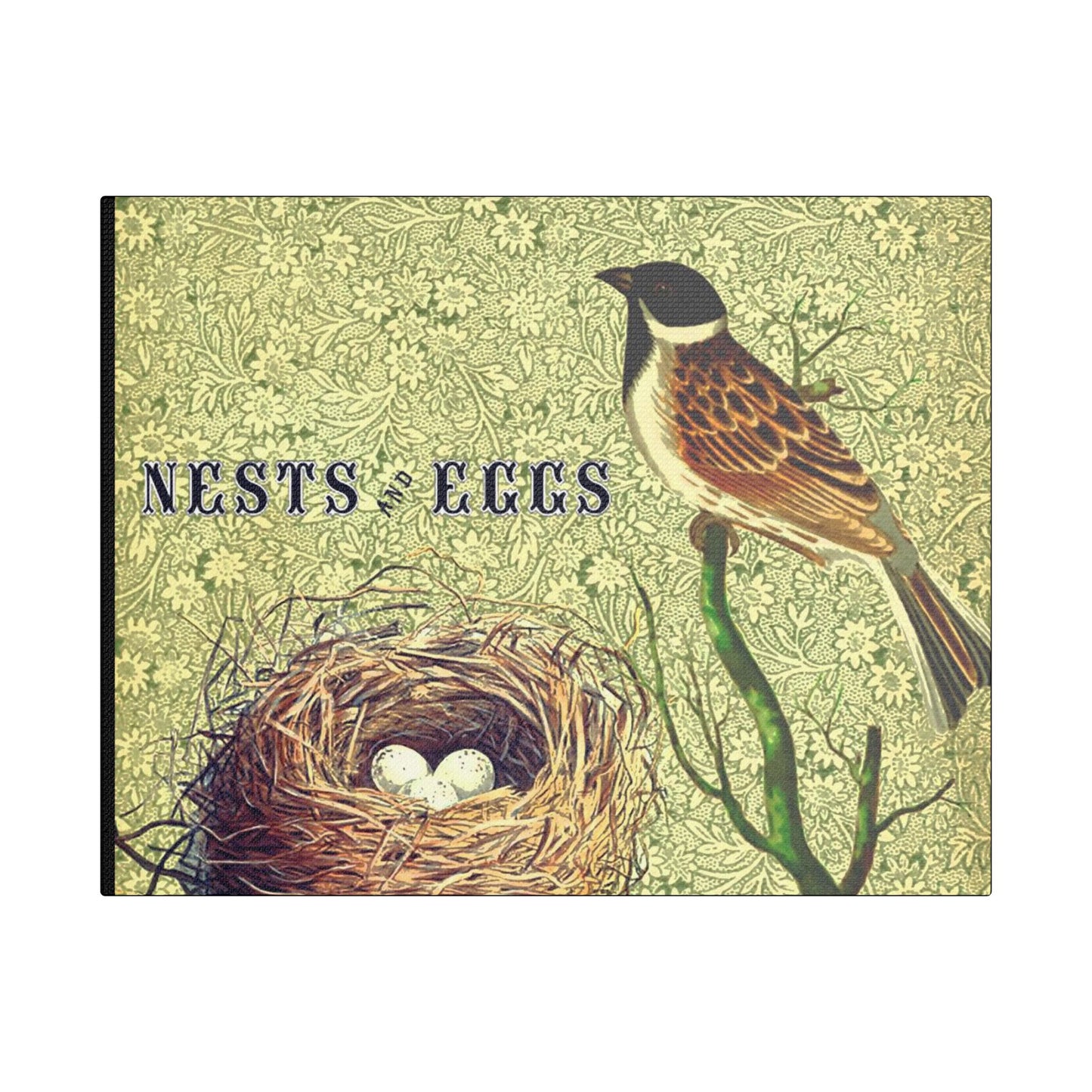 Nest and Bird Art- Gallery Wrapped- Satin Stretched Canvas Gallery Wraps - No Frame Needed