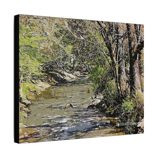 Georgia Creek- Art- Gallery Wrapped- Satin Stretched Canvas Gallery Wraps - No Frame Needed