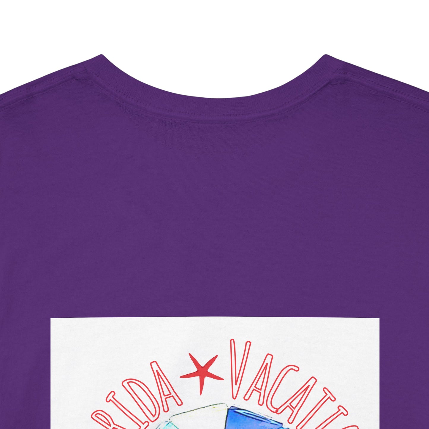 Florida Vacation Daytona Beach - Amazing Quality Unisex Heavy Cotton Short Sleeve Tee Shirts!