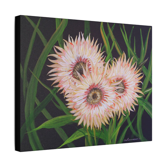 Garden's Glory- Art- Gallery Wrapped- Satin Stretched Canvas Gallery Wraps - No Frame Needed