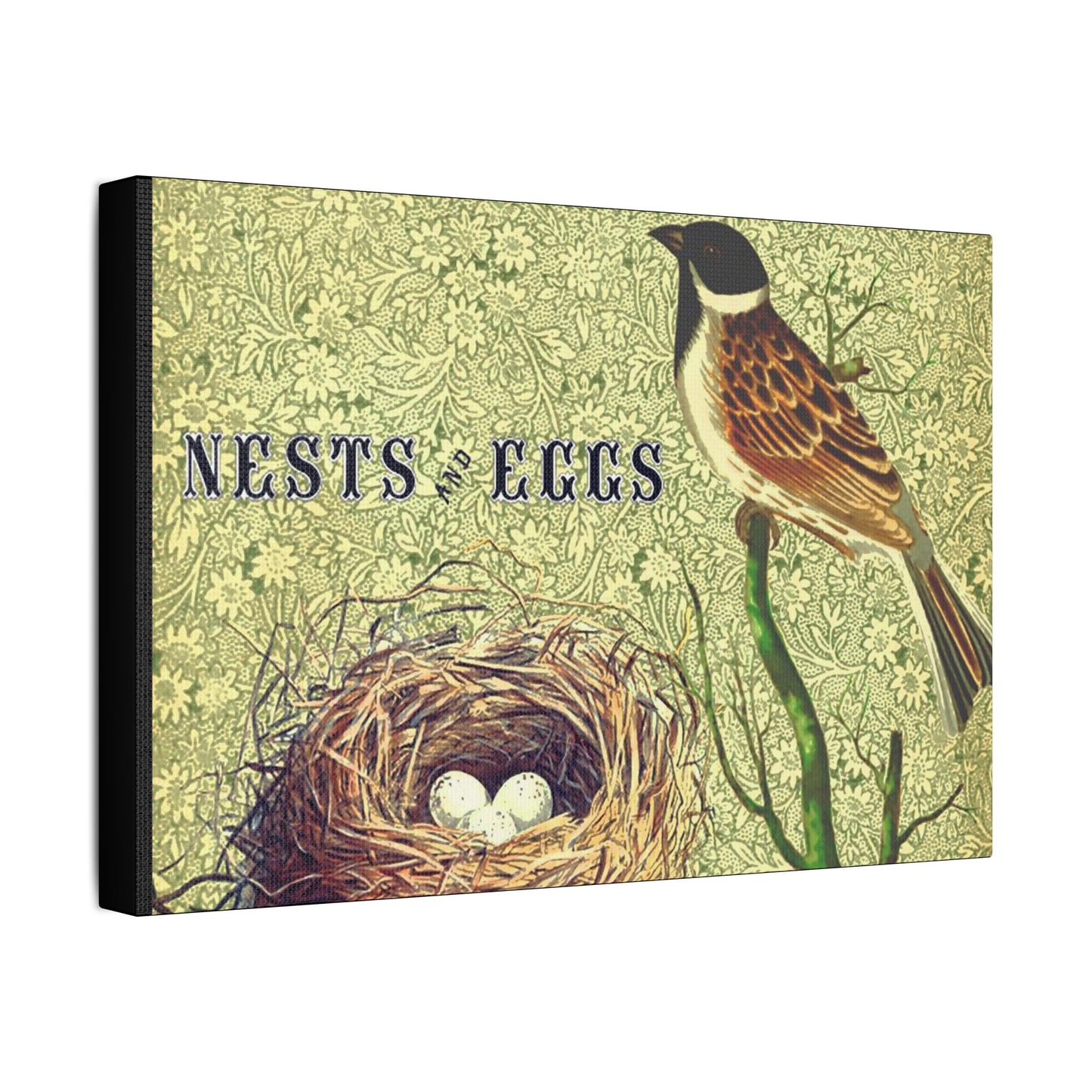 Nest and Bird Art- Gallery Wrapped- Satin Stretched Canvas Gallery Wraps - No Frame Needed