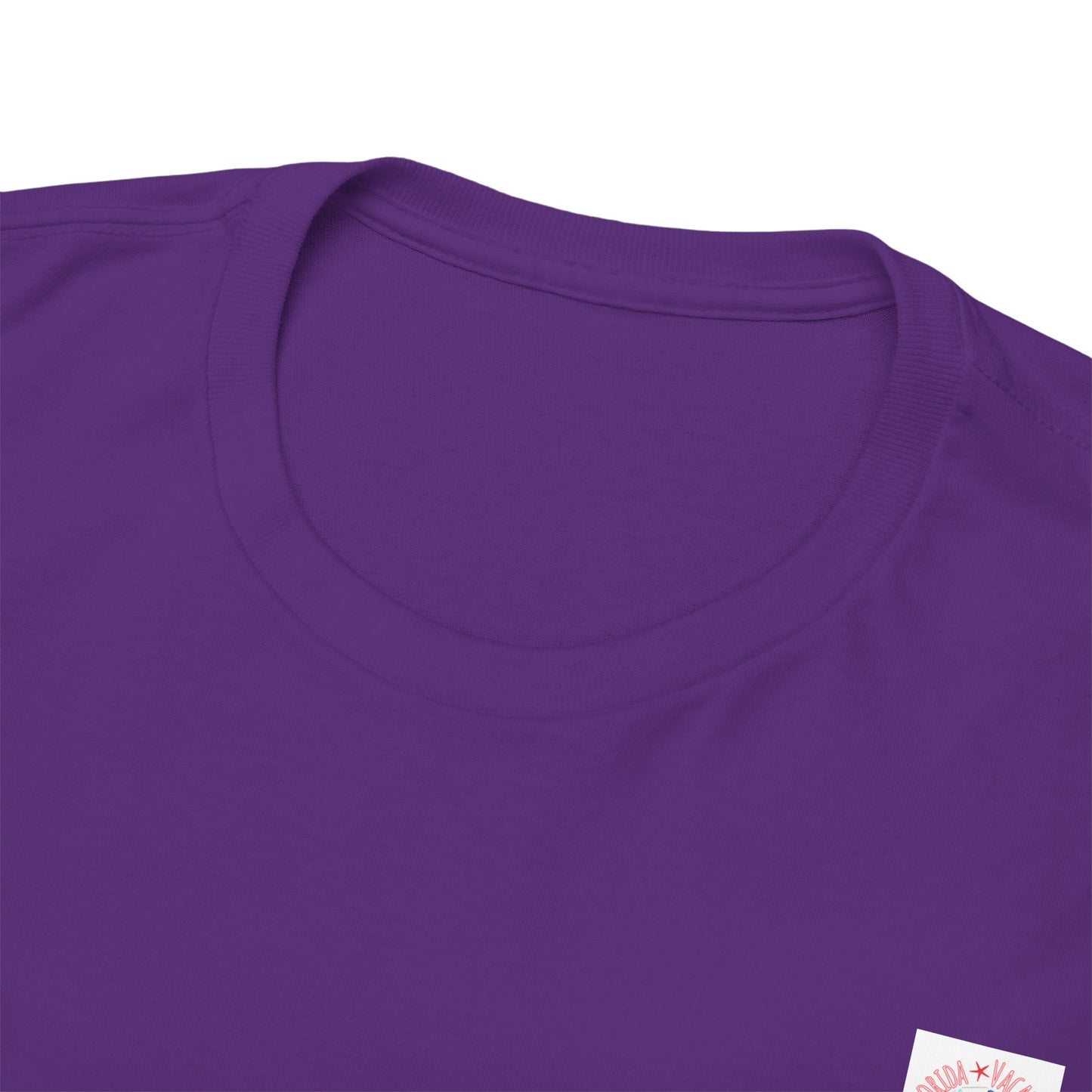 Florida Vacation Destin - Amazing Unisex Heavy Cotton Short Sleeve Tee Shirts!