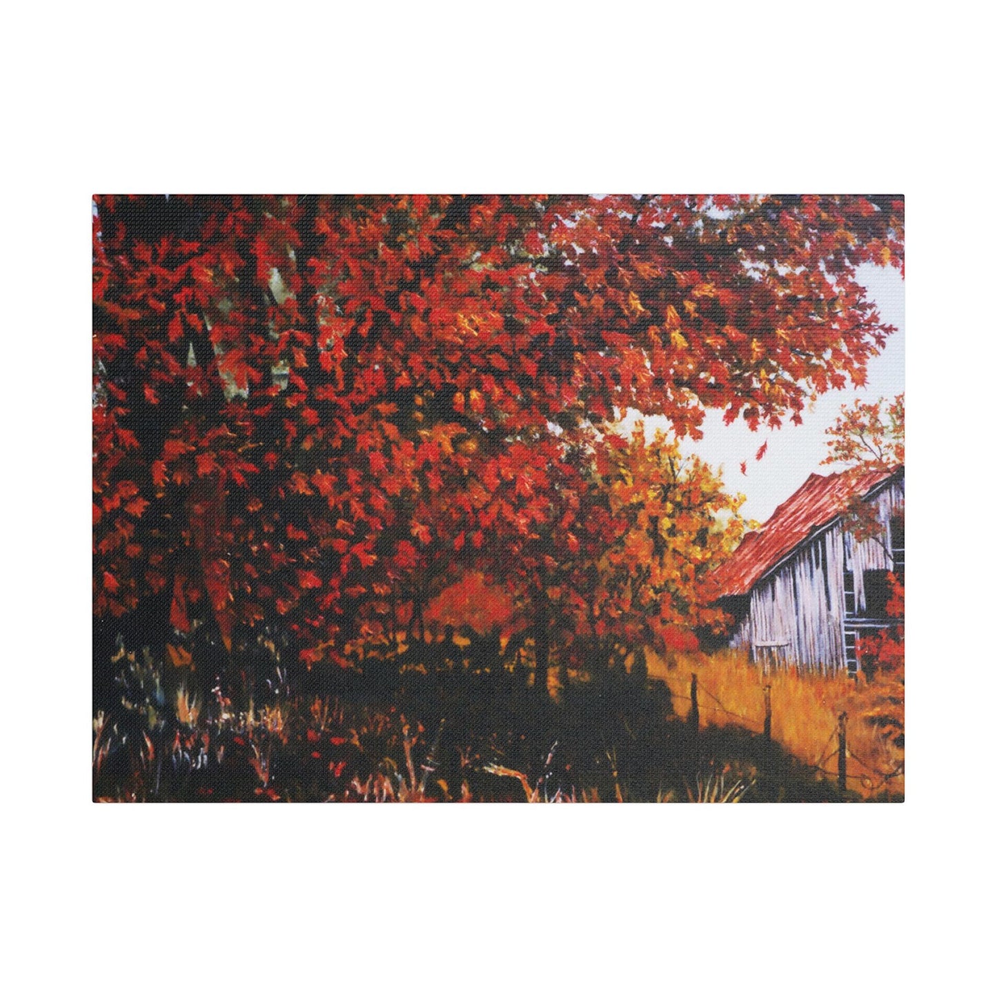 The Barn- Art- Gallery Wrapped- Satin Stretched Canvas Gallery Wraps - No Frame Needed