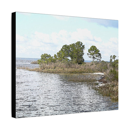 Going Coastal Florida Art- Gallery Wrapped- Satin Stretched Canvas Gallery Wraps - No Frame Needed