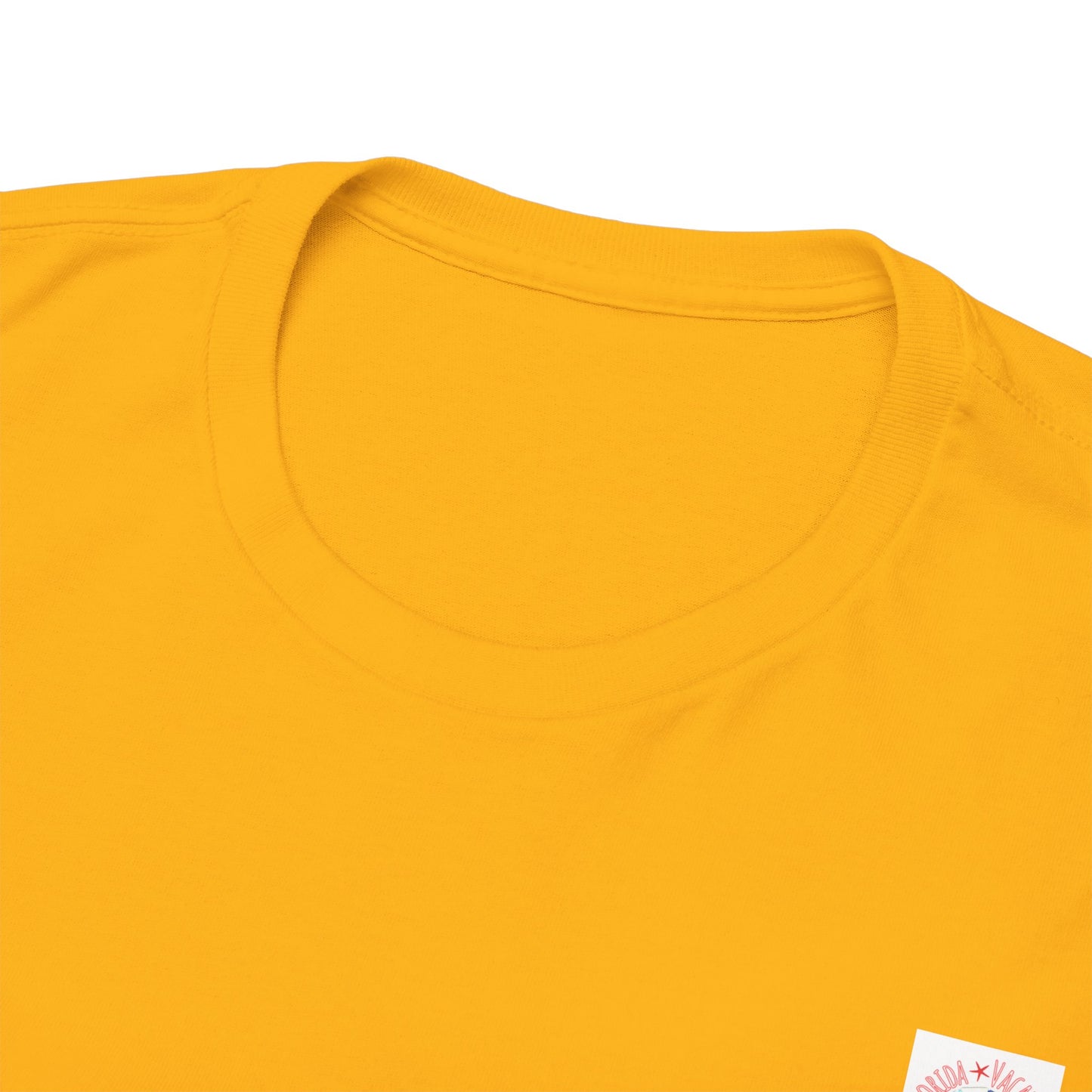 Florida Vacation Destin - Amazing Unisex Heavy Cotton Short Sleeve Tee Shirts!