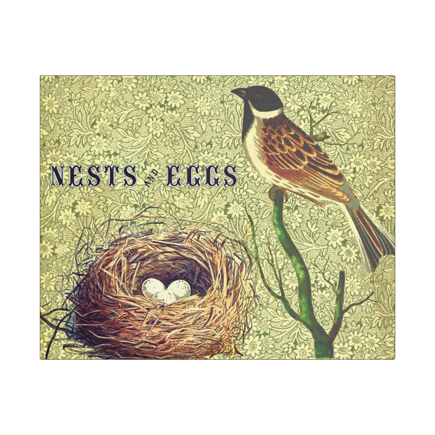 Nest and Bird Art- Gallery Wrapped- Satin Stretched Canvas Gallery Wraps - No Frame Needed