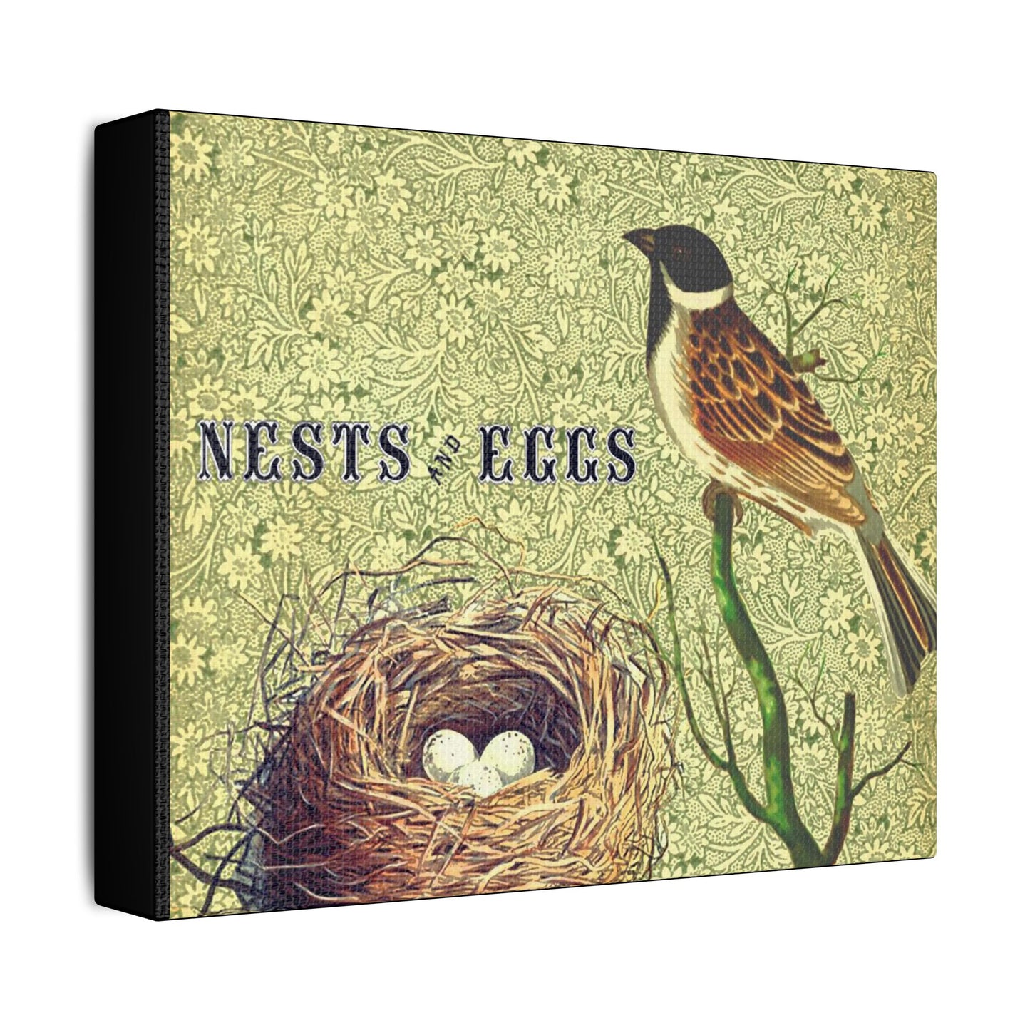 Nest and Bird Art- Gallery Wrapped- Satin Stretched Canvas Gallery Wraps - No Frame Needed