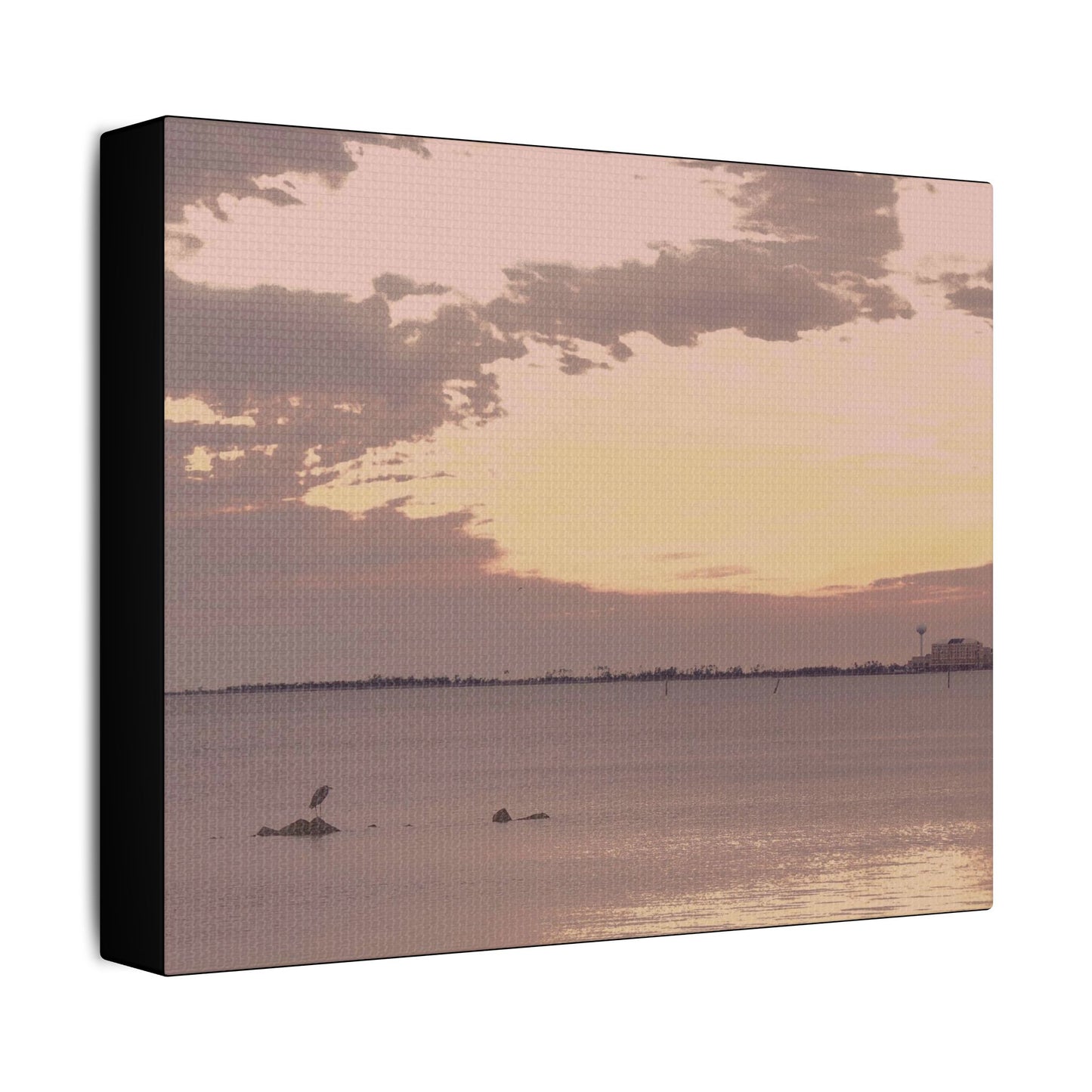 Bird's Eye View- Art- Gallery Wrapped- Satin Stretched Canvas Gallery Wraps - No Frame Needed