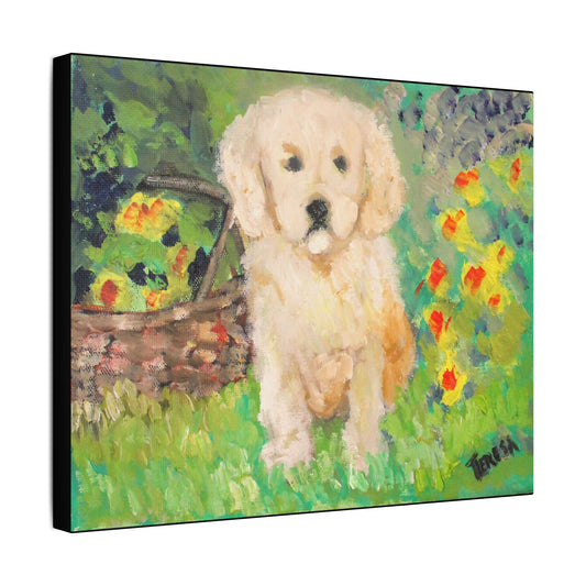 Golden Puppy- Art- Gallery Wrapped- Satin Stretched Canvas Gallery Wraps - No Frame Needed