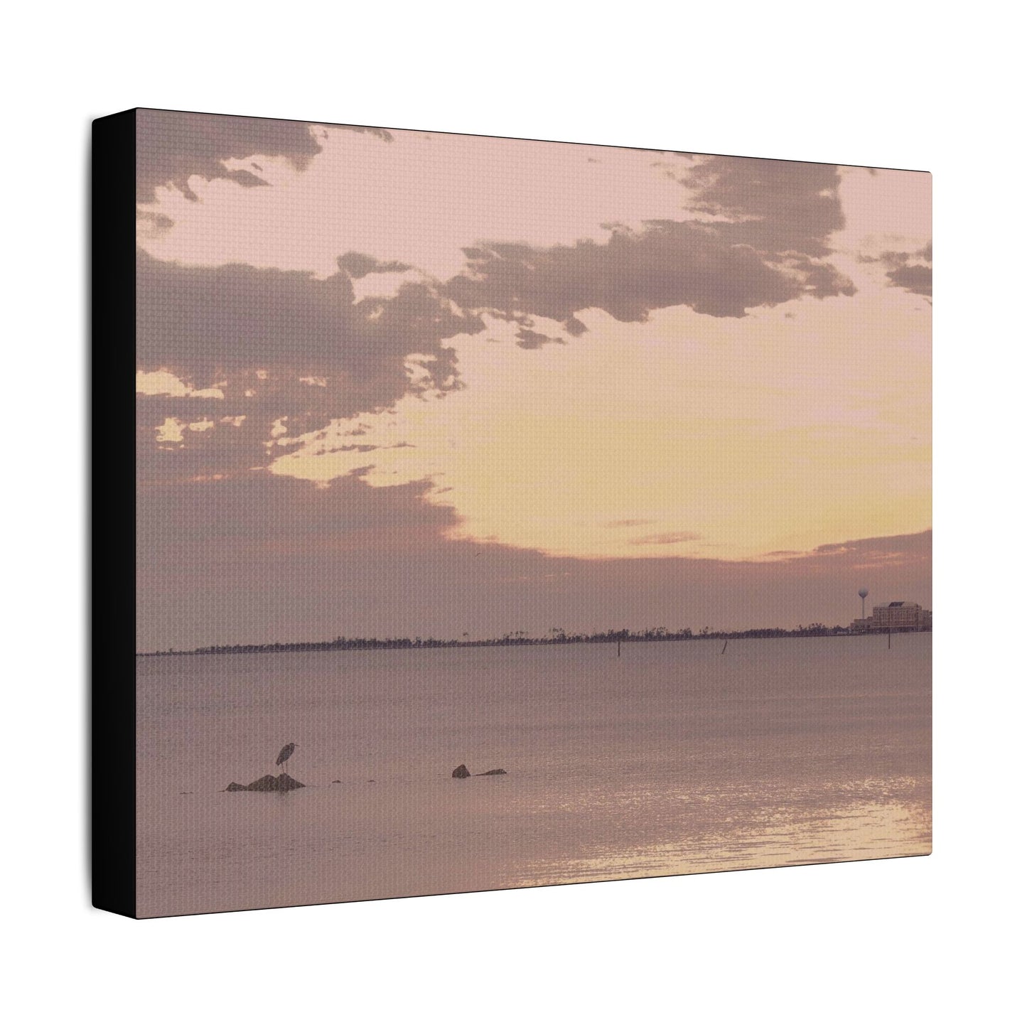 Bird's Eye View- Art- Gallery Wrapped- Satin Stretched Canvas Gallery Wraps - No Frame Needed