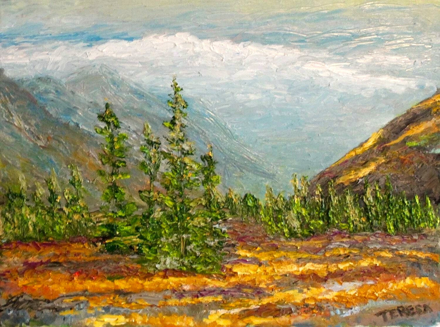 Guanella Pass-Colorado Evening Crown- Fine Art Prints – High Quality & Accessible