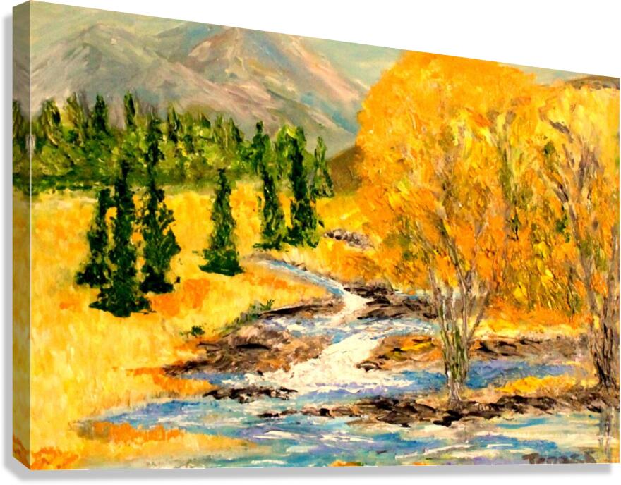 2590150 :: Giclée Stretched Canvas Print