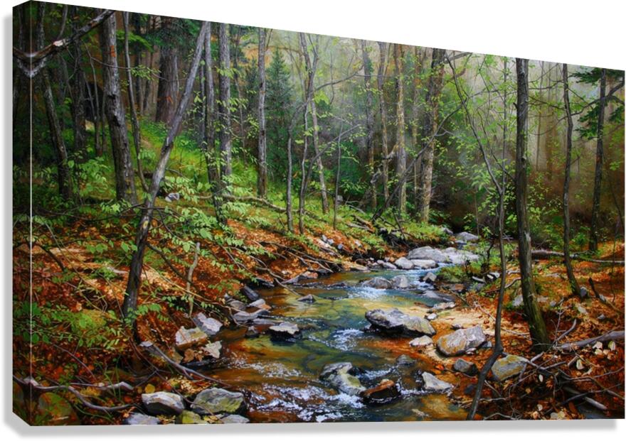 Peaceful Woodland Stream | Impressionist Print| Forest Creek Landscape | Nature Wall Art
