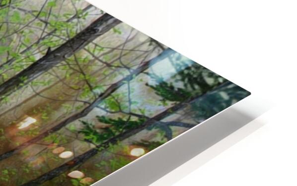 Peaceful Woodland Stream | Impressionist Print| Forest Creek Landscape | Nature Wall Art