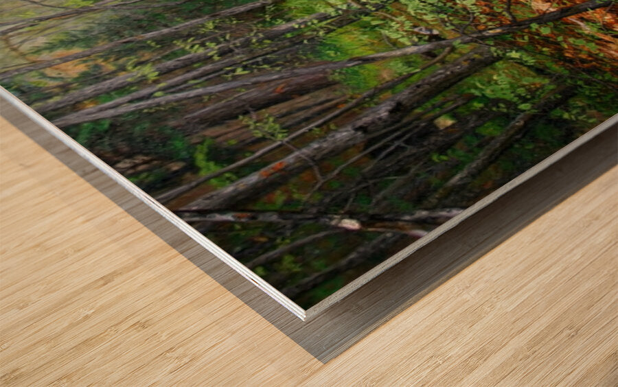 Peaceful Woodland Stream | Impressionist Print| Forest Creek Landscape | Nature Wall Art
